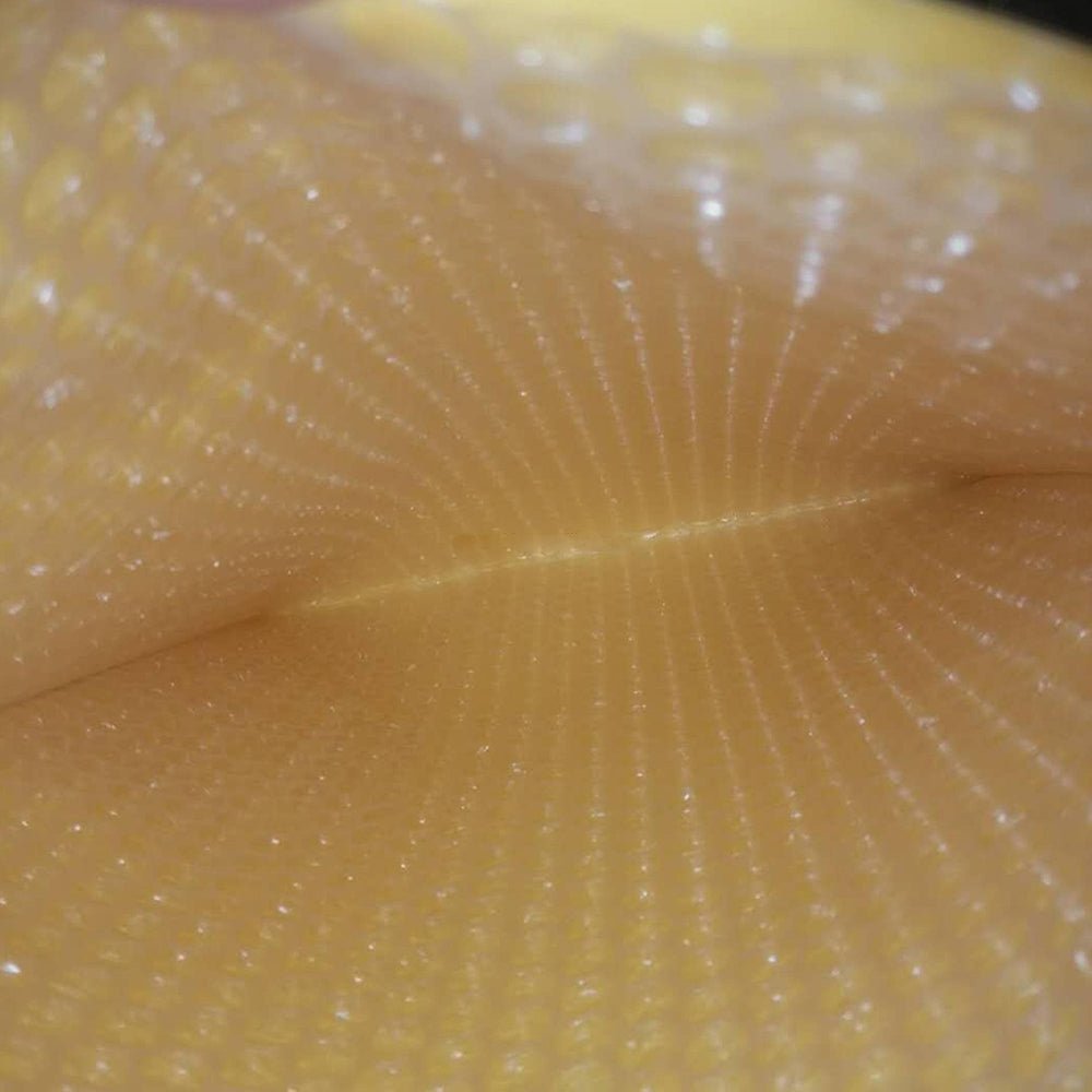 Plicuri antisoc EVC13 - Green Print