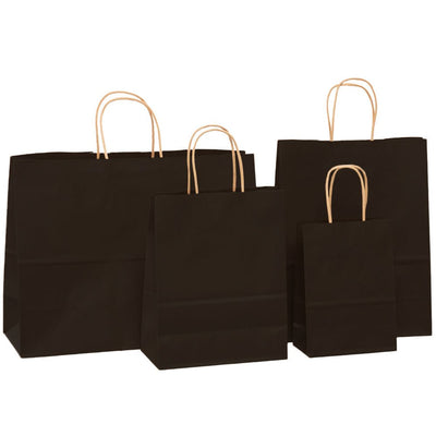 Sacosa kraft neagra 41x32 BO7541S102 - Green Print