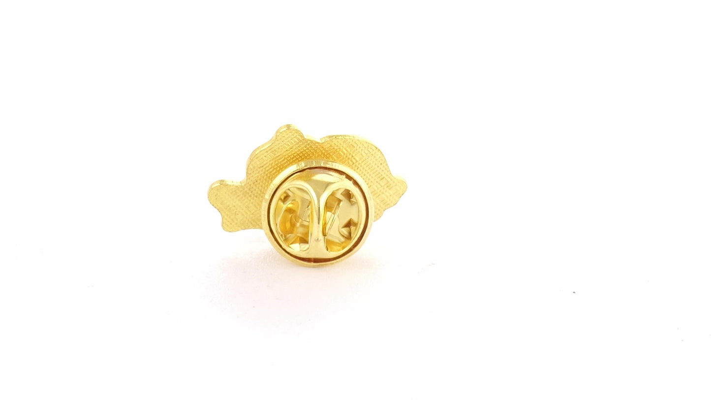 Tricolor gold metallic pin ROMANIA