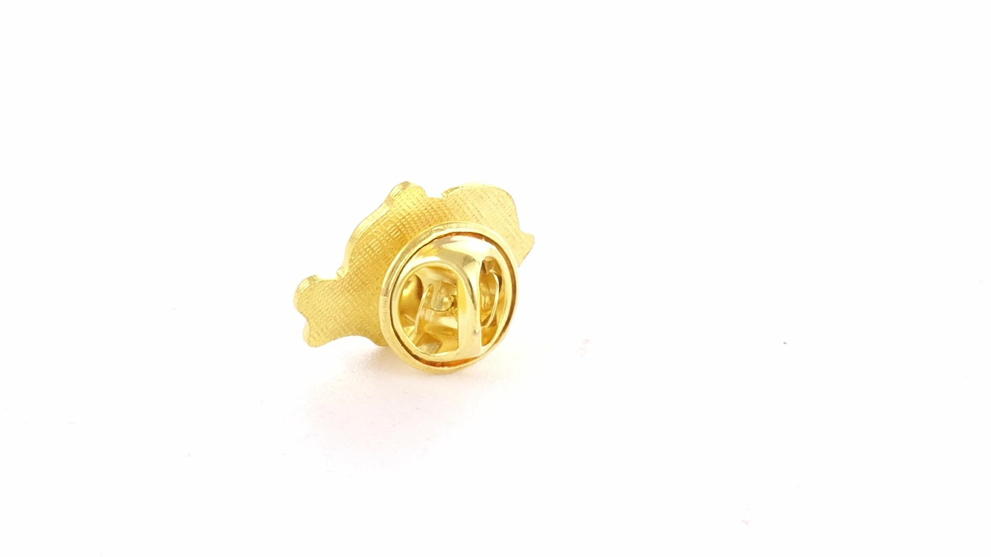 Tricolor gold metallic pin ROMANIA