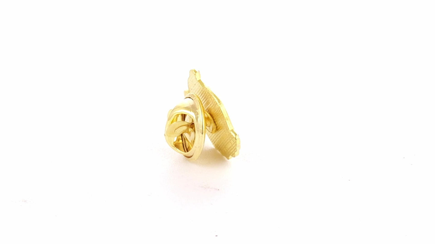 Tricolor gold metallic pin ROMANIA