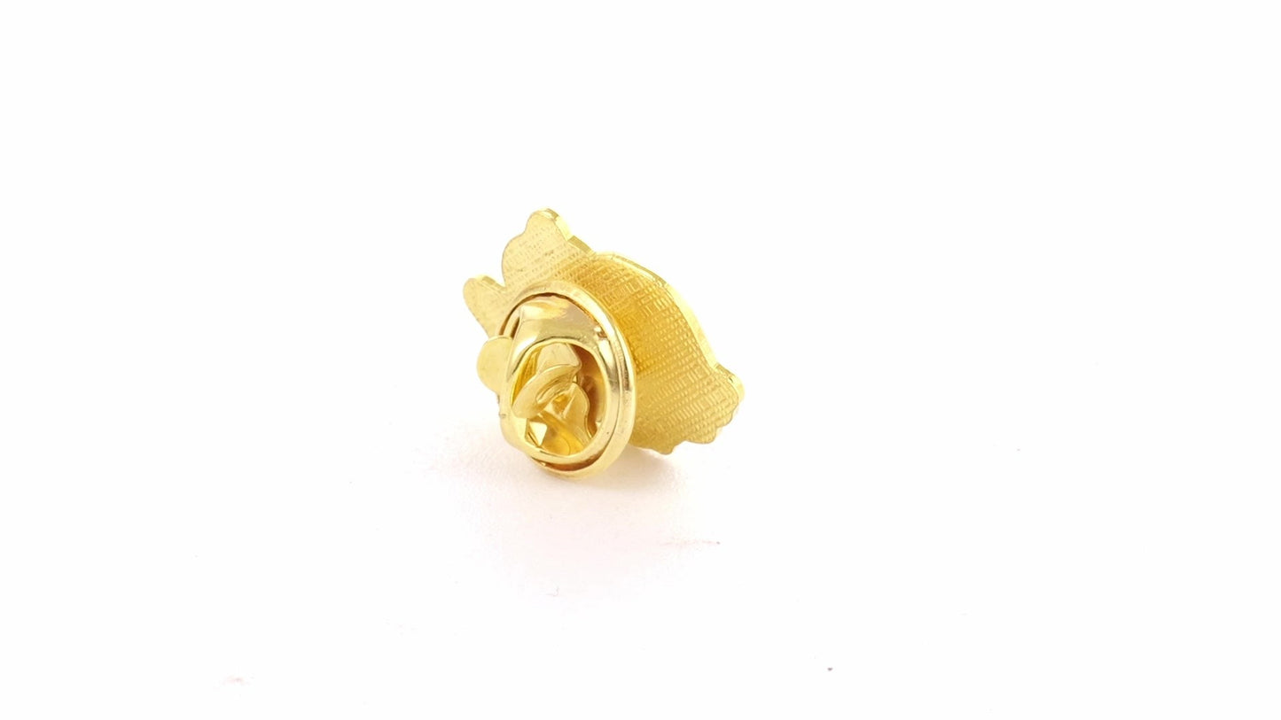 Tricolor gold metallic pin ROMANIA