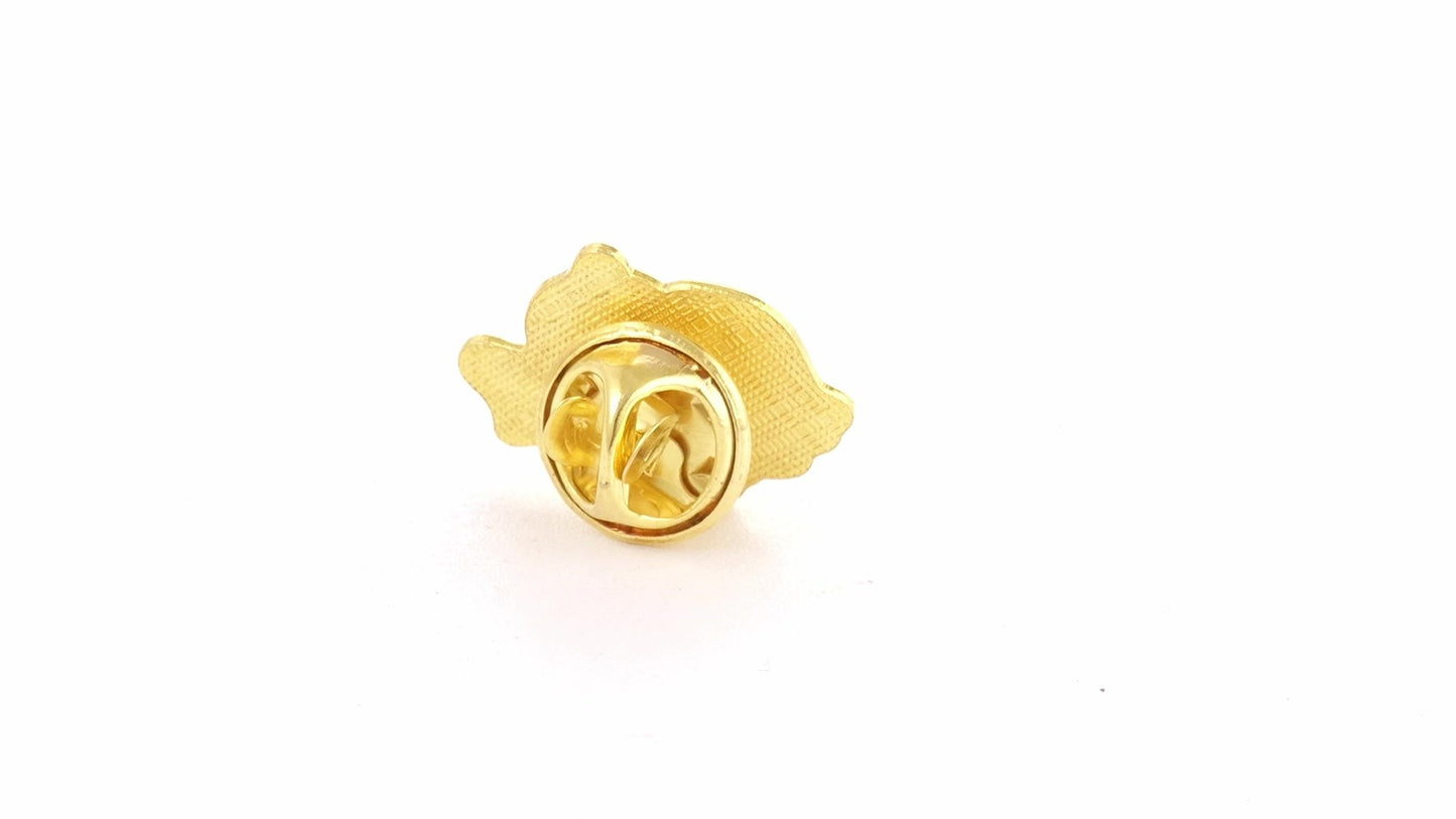 Tricolor gold metallic pin ROMANIA