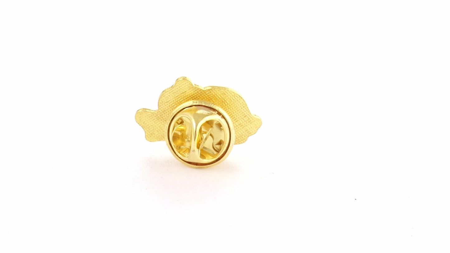 Tricolor gold metallic pin ROMANIA