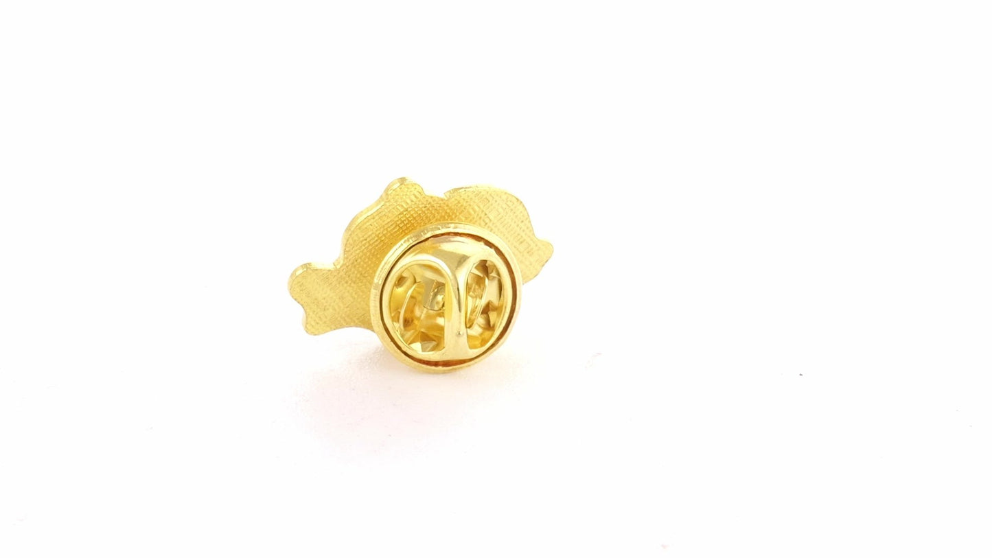 Tricolor gold metallic pin ROMANIA