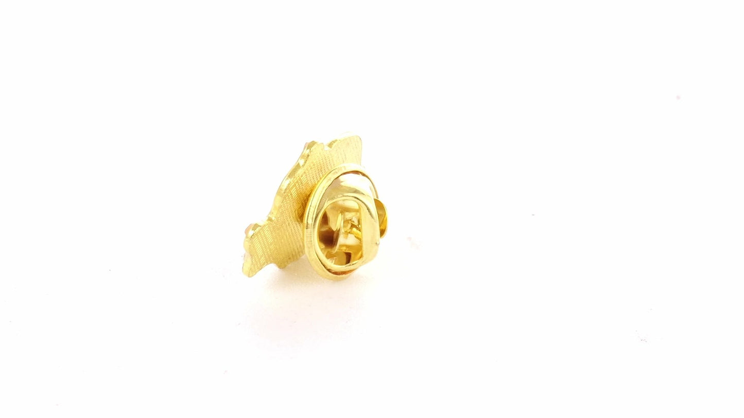 Tricolor gold metallic pin ROMANIA