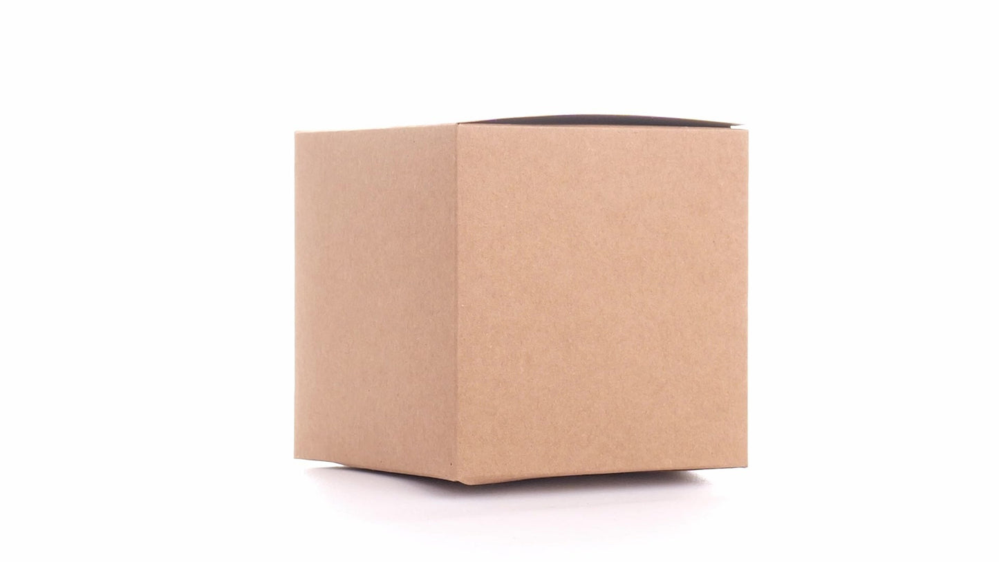 Kraft paper dog bowls