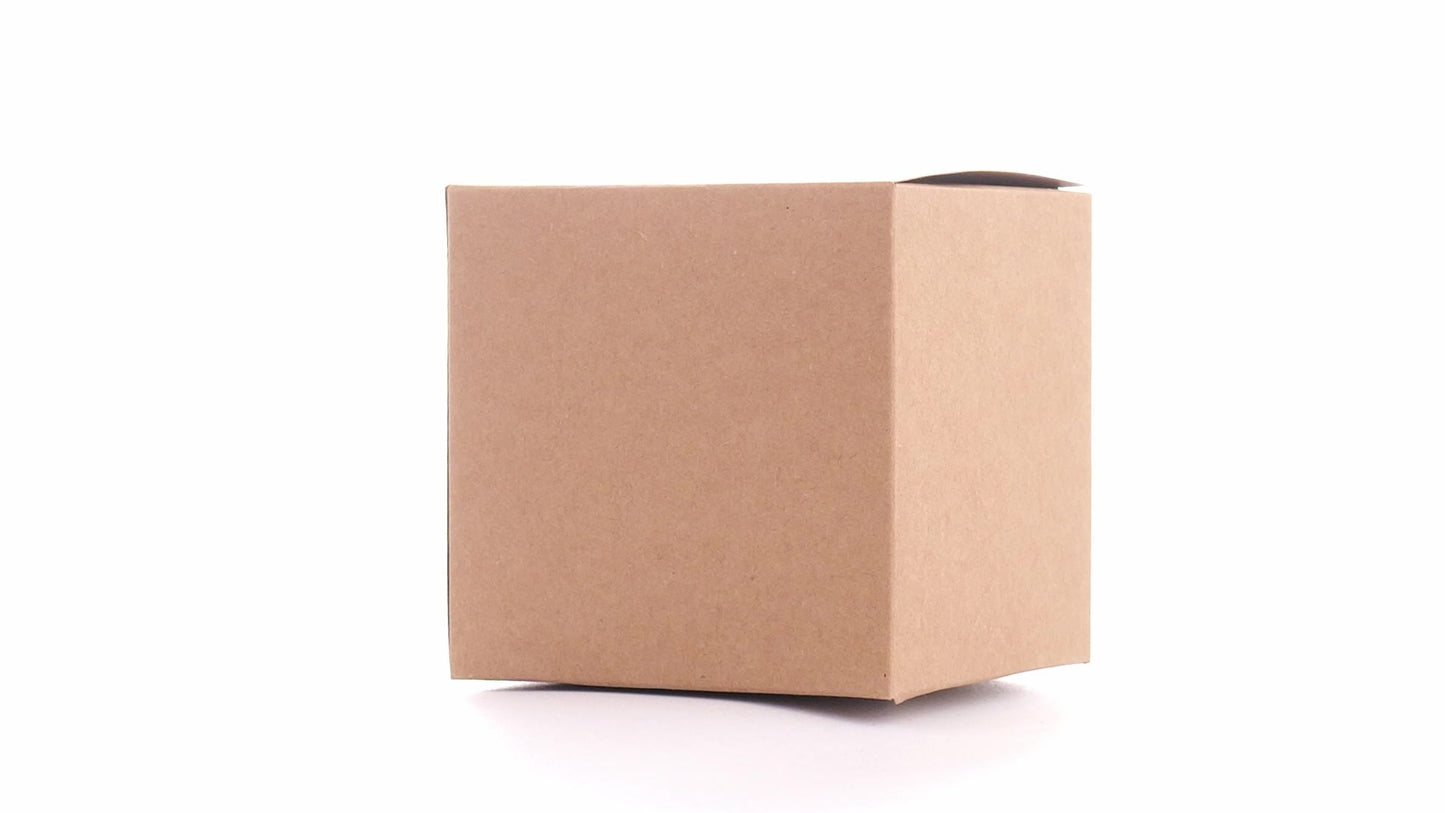 Kraft paper dog bowls