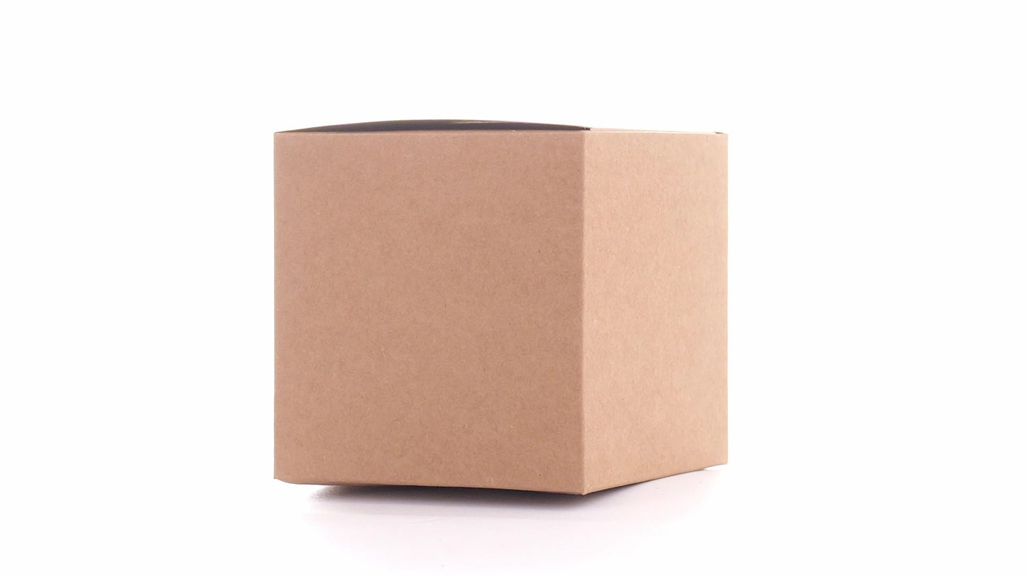 Kraft paper dog bowls