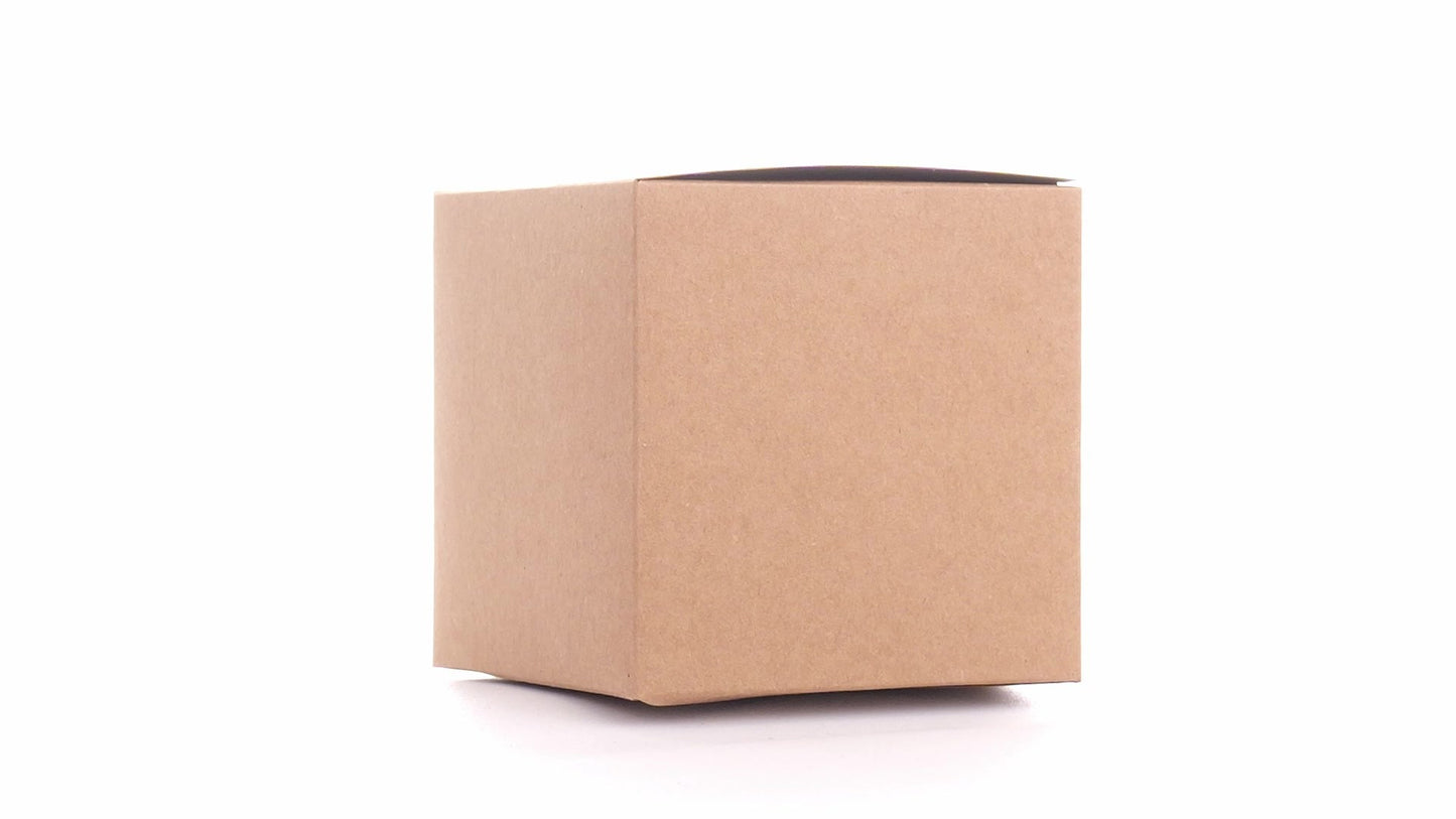 Kraft paper dog bowls