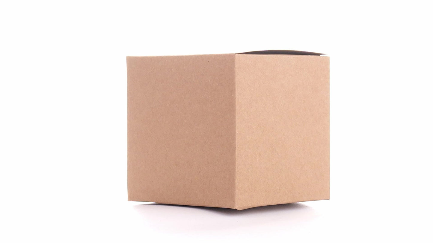 Kraft paper dog bowls