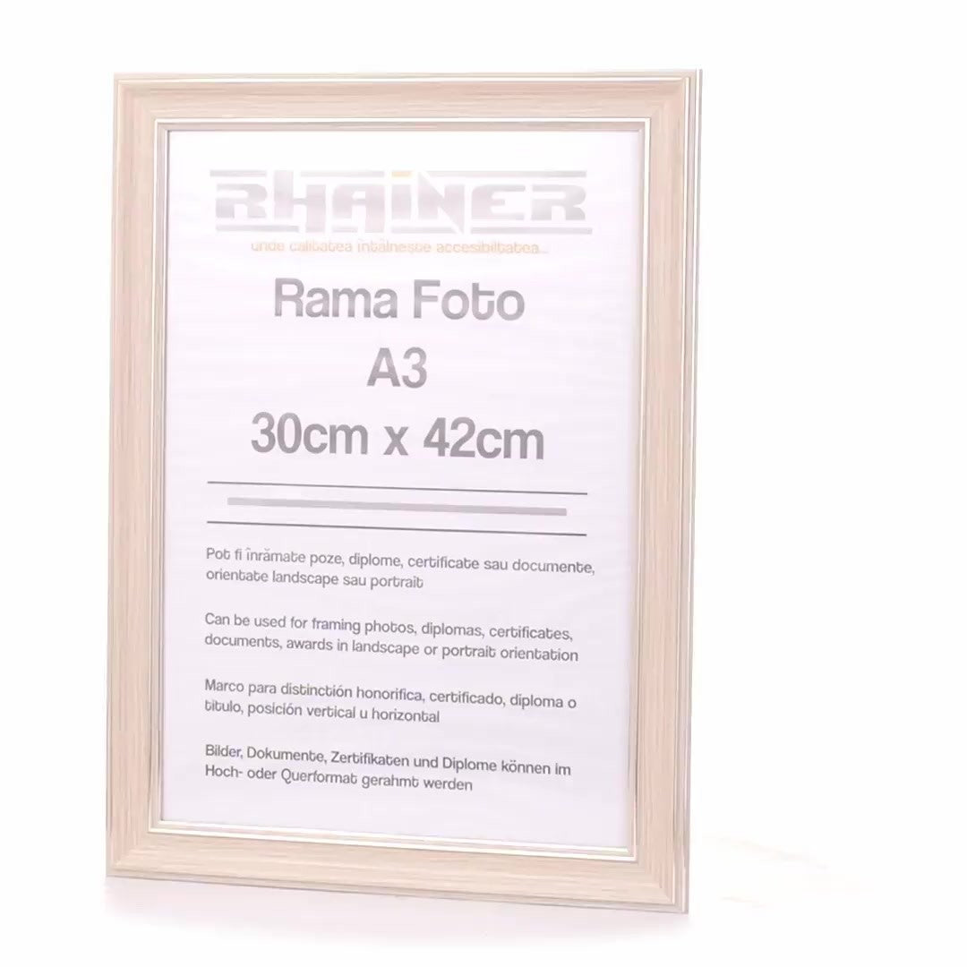 Malaga cream+silver photo frame A3