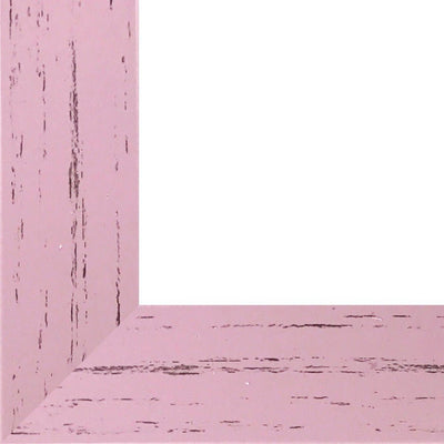 Rama foto Leon roz A3 FP08613A3 - Green Print