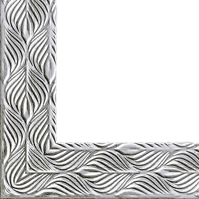 Rama foto Leon argintiu texturat 10x15