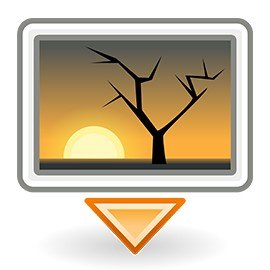 Insertie Foto - Green Print