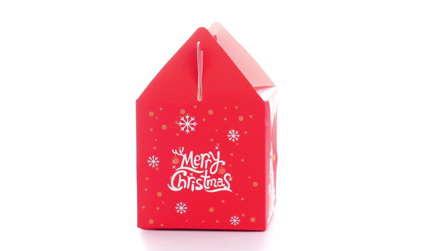 Cutie cani 3D Merry Christmas rosu