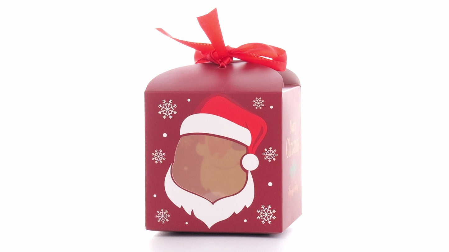 Cutie cani Craciun cu funda rosie