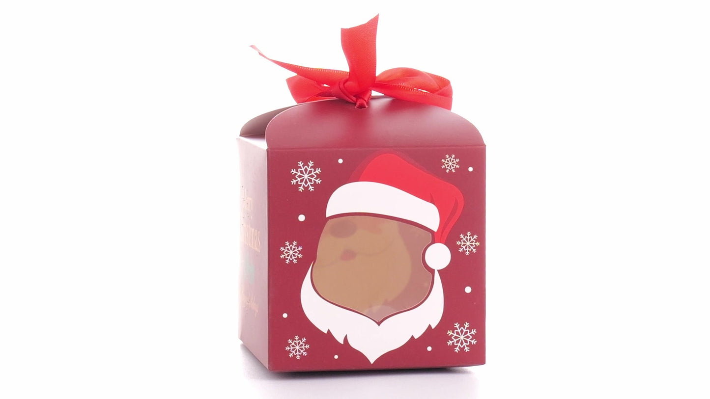 Cutie cani Craciun cu funda rosie