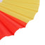 Tricolor fan ROMANIA