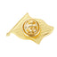 Pin metalic auriu steag ROMANIA